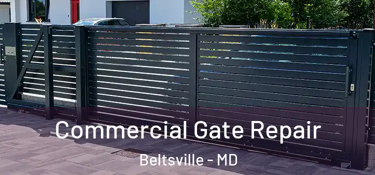  Commercial Gate Repair Beltsville - MD