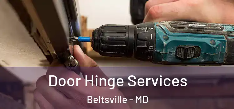  Door Hinge Services Beltsville - MD