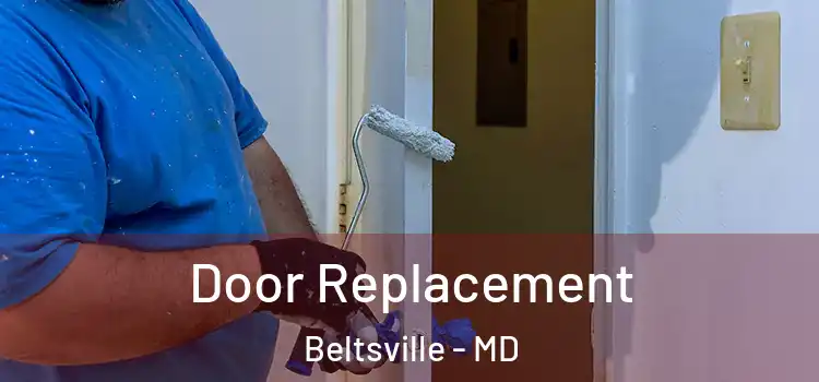  Door Replacement Beltsville - MD
