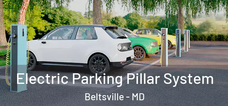  Electric Parking Pillar System Beltsville - MD