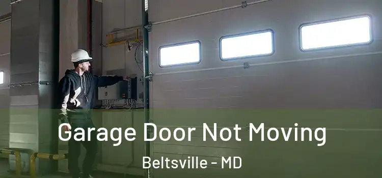  Garage Door Not Moving Beltsville - MD