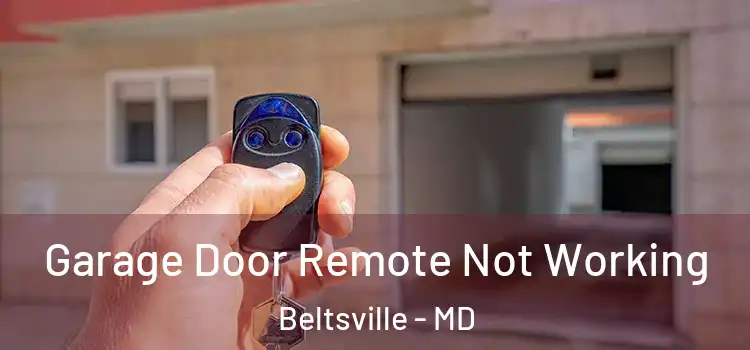  Garage Door Remote Not Working Beltsville - MD