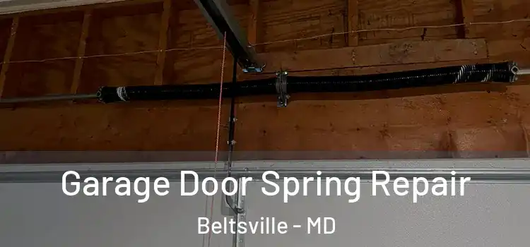  Garage Door Spring Repair Beltsville - MD