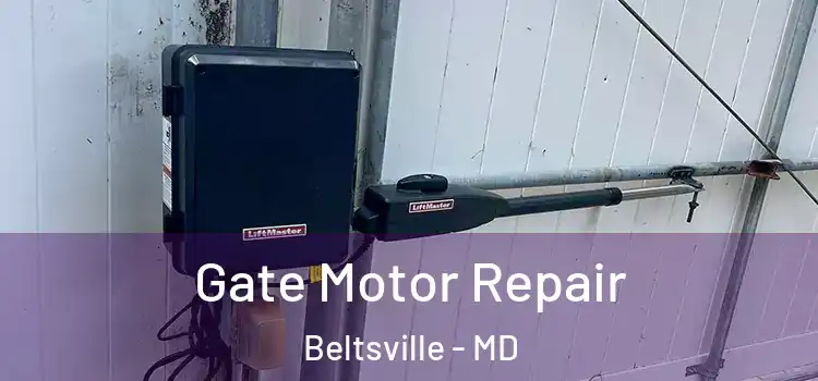  Gate Motor Repair Beltsville - MD