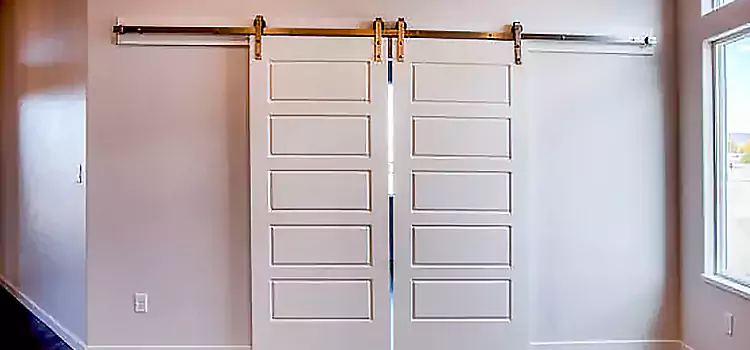 Glass Barn Door with Installation Hardware Kit Beltsville