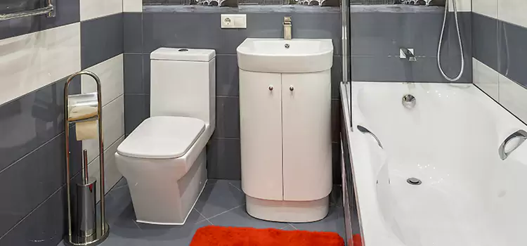 Hansgrohe Shaving Mirror Beltsville