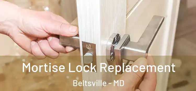  Mortise Lock Replacement Beltsville - MD