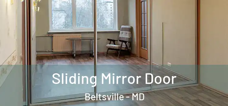  Sliding Mirror Door Beltsville - MD