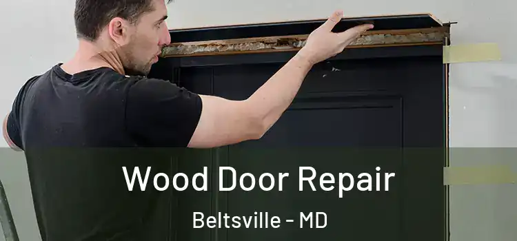 Wood Door Repair Beltsville - MD